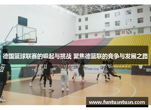 德国篮球联赛的崛起与挑战 聚焦德篮联的竞争与发展之路
